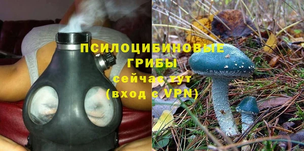 мескалин Абаза