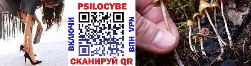 Псилоцибиновые грибы Psilocybe  как найти наркотики  Нижняя Тура 